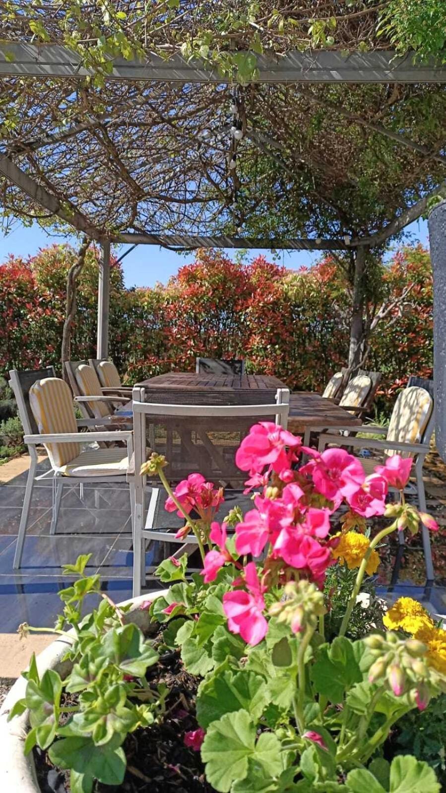 Mon Ventoux - Cozyhotes Со-де-Воклюз Экстерьер фото